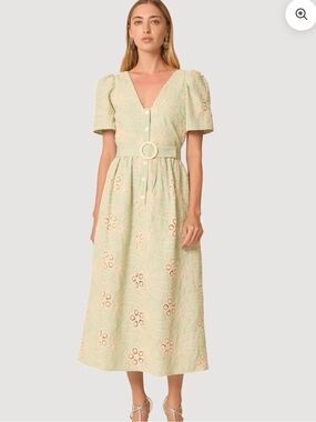 NEW! Gilner Farrar embroidered dress